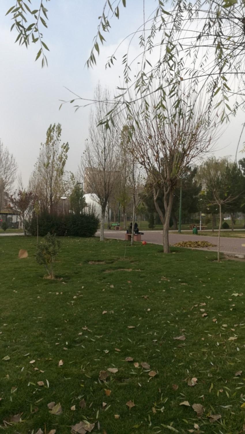 عکس پارک پلیس