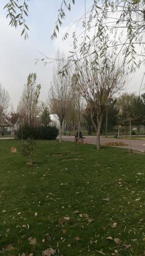 عکس پارک پلیس