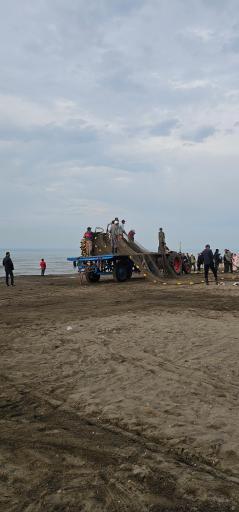 عکس پلاژ قوری