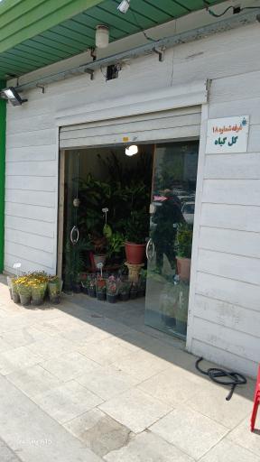 عکس غرفه گل و گیاه 