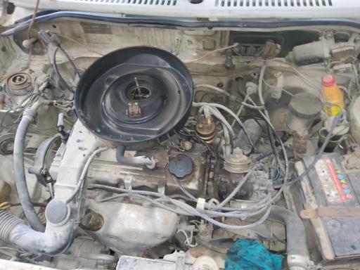 عکس تعویض روغن و آپاراتی سواحل قشم