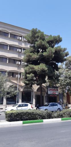 عکس هتل آپارتمان و رستوران فولادی