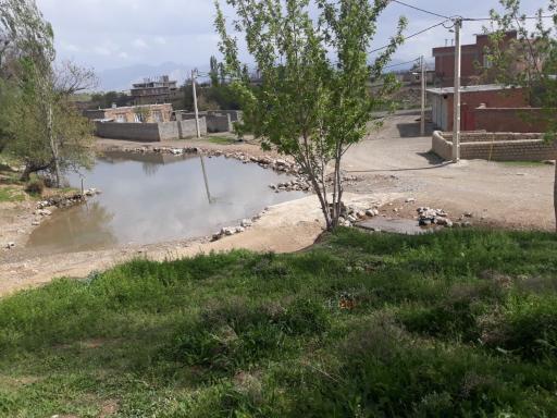 عکس گردکشانه