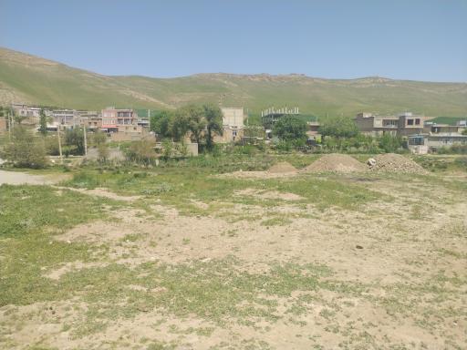 عکس گردکشانه