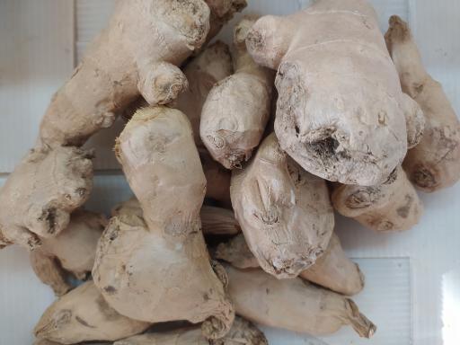 میوه و سبزیجات رزاق