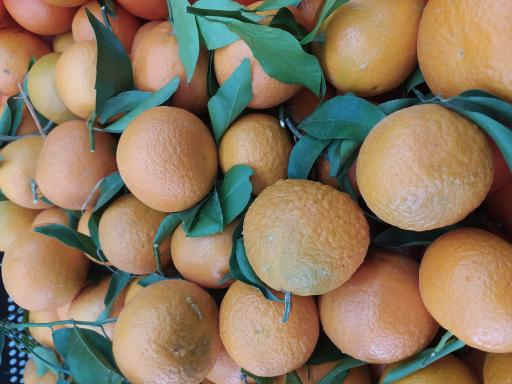 میوه و سبزیجات رزاق