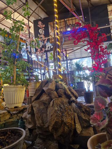 عکس باغ و رستوران سنتی شب نشین