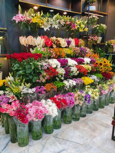 عکس گل سلین