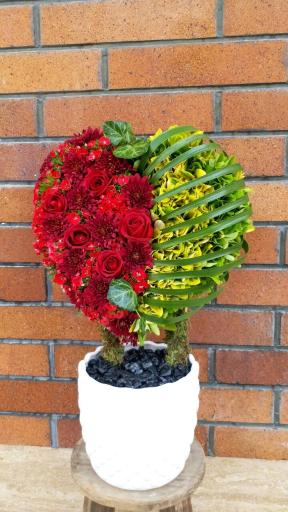 عکس گل سلین