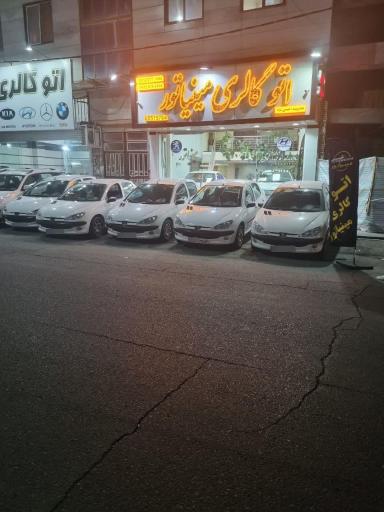 عکس نمایشگاه اتومبیل مینیاتور