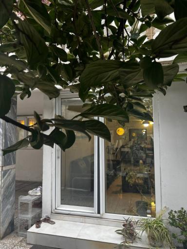 عکس آکادمی زیبایی رها ظریفی