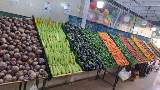 عکس هایپر میوه بلوط