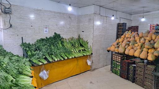 عکس هایپر میوه بلوط