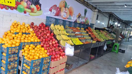 عکس هایپر میوه بلوط