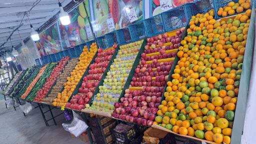 عکس هایپر میوه بلوط