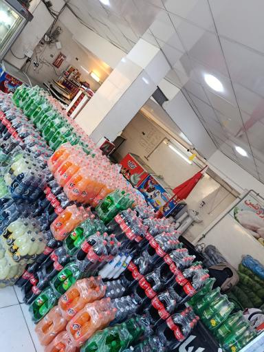 عکس پخش مرغ مخدومی 