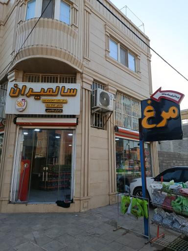 عکس پخش مرغ مخدومی 