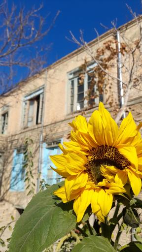 عکس خانه تاریخی غفوری