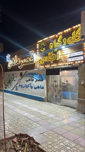 عکس مجموعه ماهی و پرندگان قصر ماهی