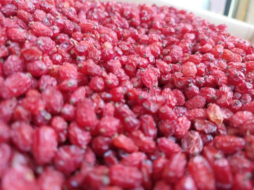 عکس خشکبار و زرشک مهدی حاجی زاده