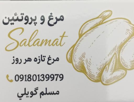 عکس مرغ و پروتئین سلامت