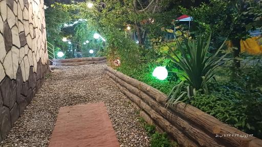 عکس کافه گلستان