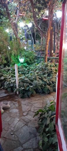 عکس کافه گلستان