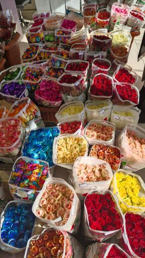 عکس گل هیوا