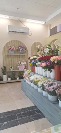 عکس گل هیوا