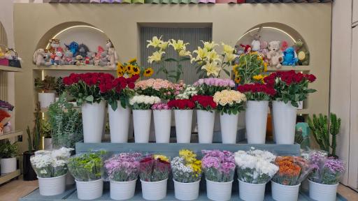 عکس گل هیوا