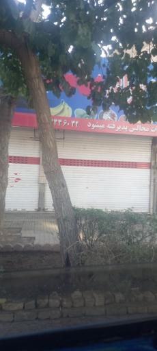 میوه فرشی حسینی 