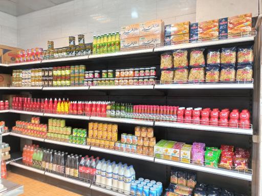 عکس پروتئین همایون