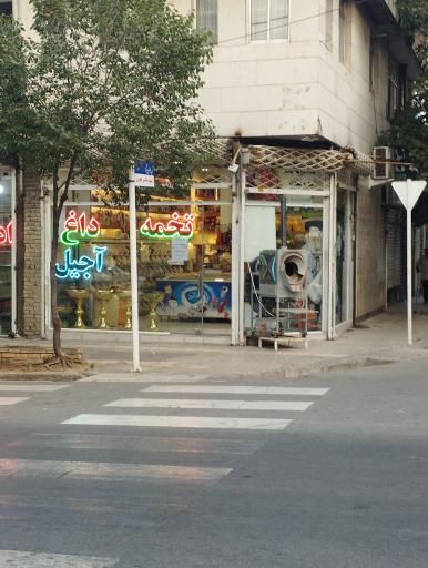 عکس آجیل برادران شیردل 