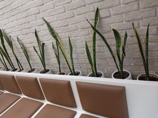 عکس آزمایشگاه پروین