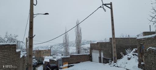 عکس فردو