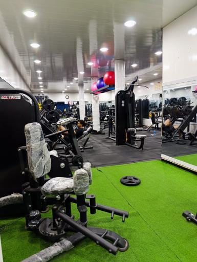 عکس باشگاه بدنسازی میلاد اسکندری پناه