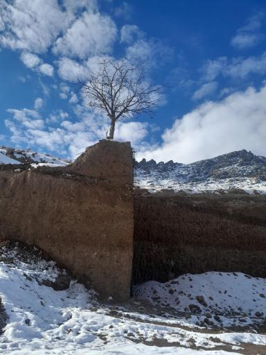 عکس فردو