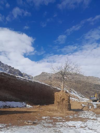 عکس فردو