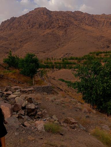 عکس فردو
