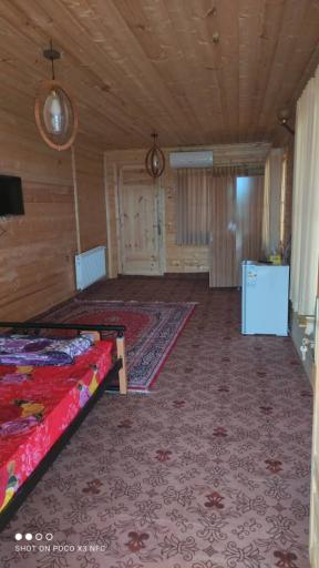 عکس بوم گردی یونا