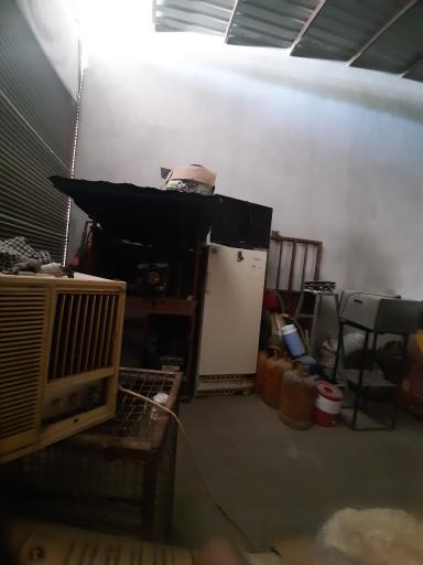 عکس ضایعات گلستان