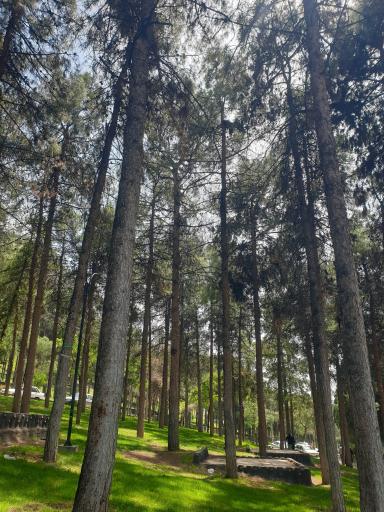 عکس بوستان شریعتی