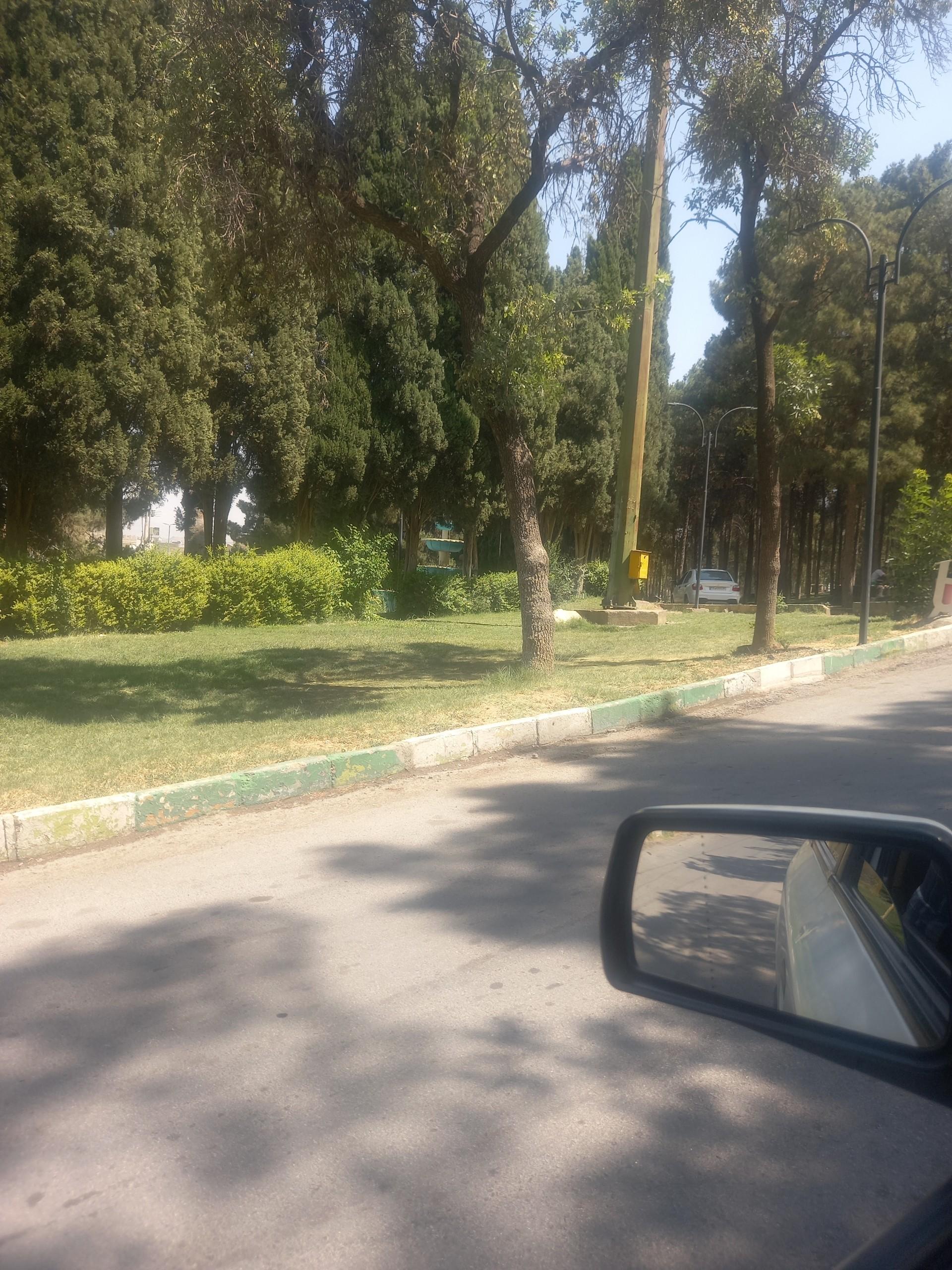 عکس بوستان شریعتی