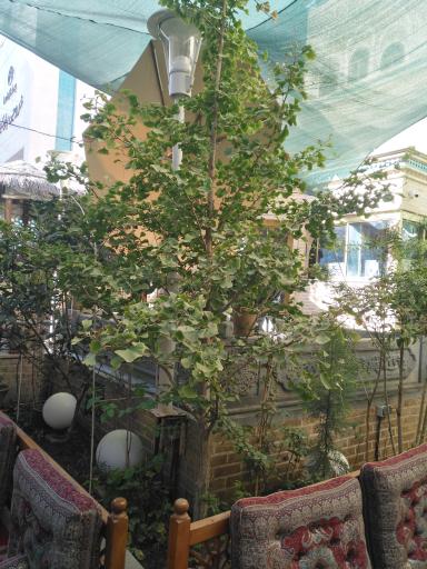 عکس هتل سنتی آب میرزا