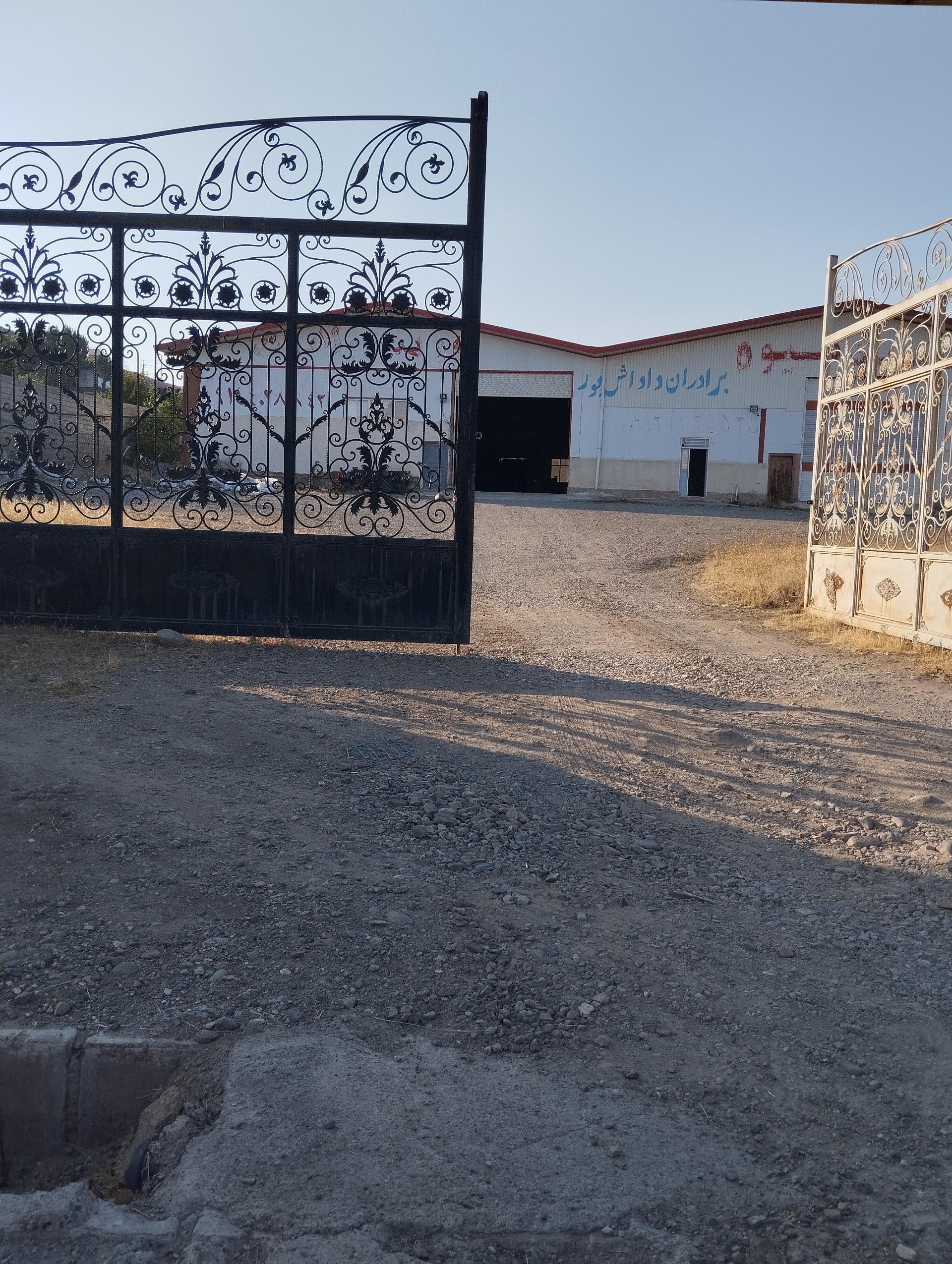 عکس تولید سبد میوه برادران داداش پور 