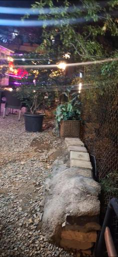 عکس باغ رستوران میثم