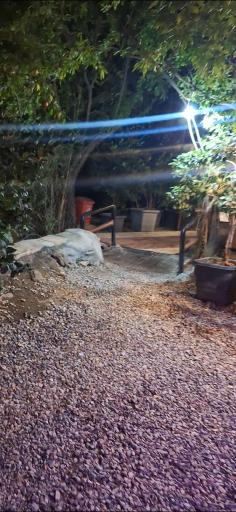 عکس باغ رستوران میثم