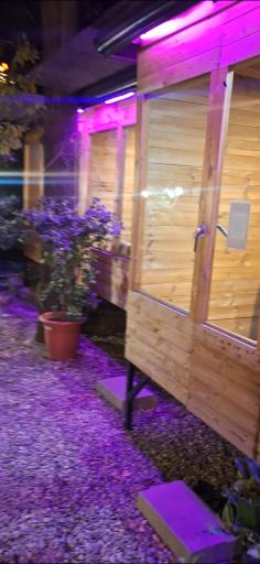 باغ رستوران میثم