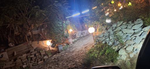 عکس باغ رستوران میثم