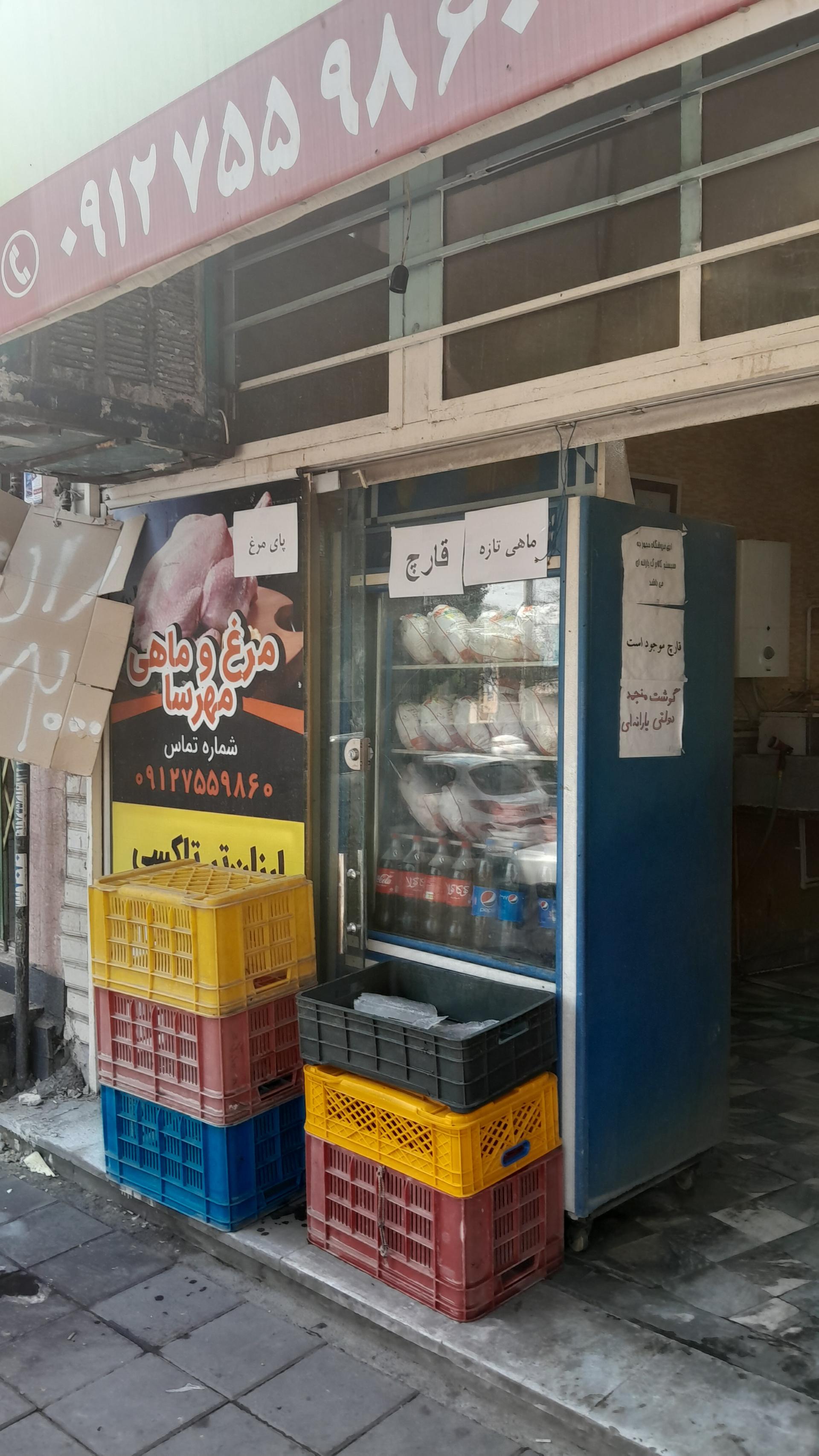 عکس مرغ و ماهی مهرسا